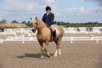 SBM_04031