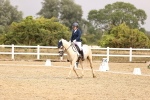 SBM_002080