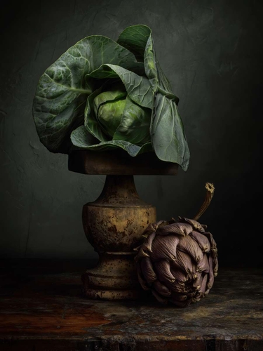 Still-life with Cabbage