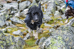 Matterdale-270