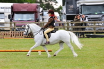 SBM_08720
