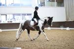 SBM_016337