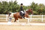 SBM_008760