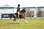 SBM_15523