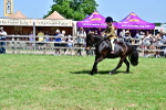 SBM_06102