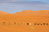 IMG_5428 Merzouga, Morocco