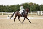 SBM_004629