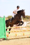 SBM_001256