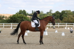 SBM_020907