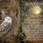 November / Ivy Moon