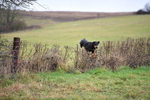 WJ5_6138