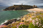 Sunny Peel Castle