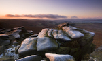First Frost