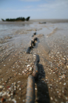 Ship wreck, Somerset _S088