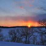 Silhouetted Sunset