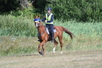WJ7_3384