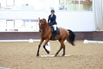 SBM_004167