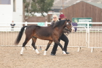 SBM_08421