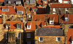 Rooftops & Windows