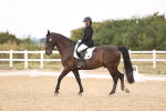SBM_008613
