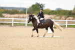 SBM_000433