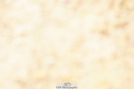 240317A-151854-07583