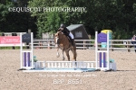BPP_8651