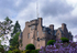 Crathes Castle - DSC_7595