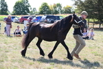 WJ6_4781