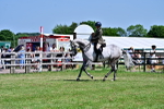 SBM_18212