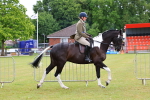 SBM_02568