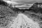 20160117-3K8A2745-3938