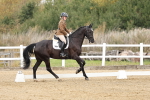 SBM_018262