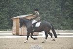 Cls 5, Novice BRONZE portfolio