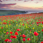 Cornwall - North Coast 2 portfolio