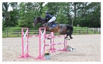 CLASS 6 FRI Senior Foxhunter/ 1.20m Open portfolio