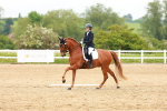 SBM_006800