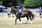 WJ7_3687