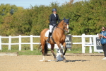 SBM_001498