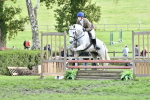S35 - Working Hunter & Working Show Horse portfolio