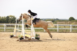 SBM_003095