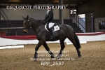 BPP_2537