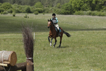 BVHT 140517  IXC -531
