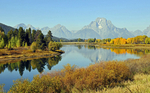 Mt. Moran at Ox Bow Bend