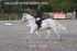 BPP_7858