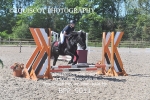 BPP_9011