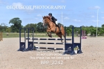 BPP_2242