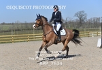 BPP_7634