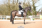 Class 13, Freestyle Music Novice Gold portfolio