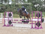 BPP_2991